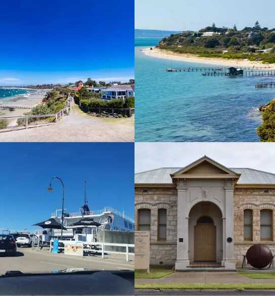 Pest Control Services Sorrento