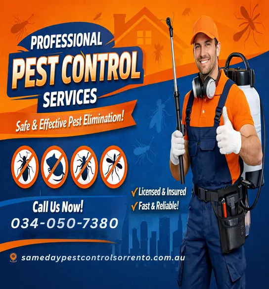Pest Control Sorrento