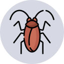 Cockroach Control Sorrento