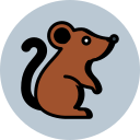 Rodent Control Sorrento